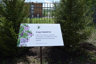 Акция «Сад Памяти»