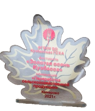 Областной фестиваль 