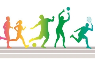 Школьные спортивные  клубы